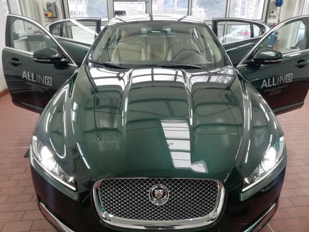Jaguar Gal 1.jpg
